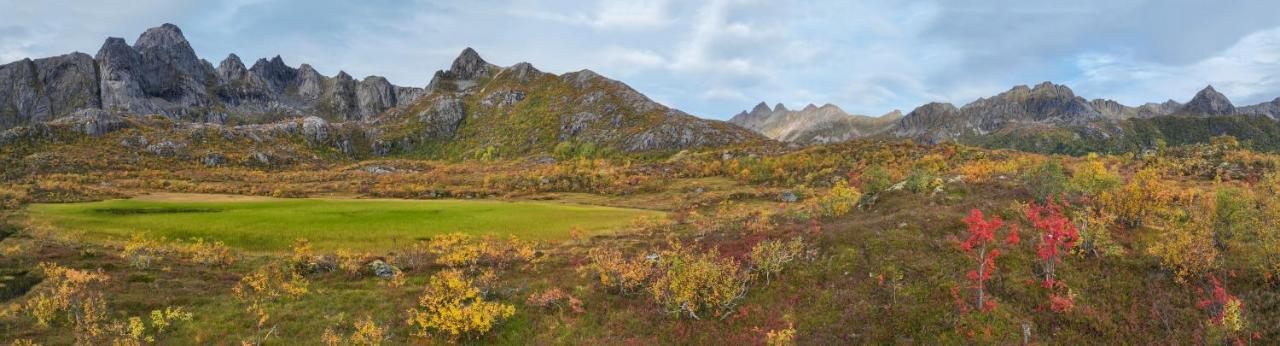 Wildlife Panorama Lofoten Bostad Zewnętrze zdjęcie