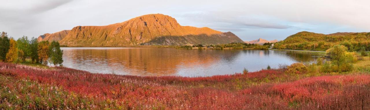 Wildlife Panorama Lofoten Bostad Zewnętrze zdjęcie