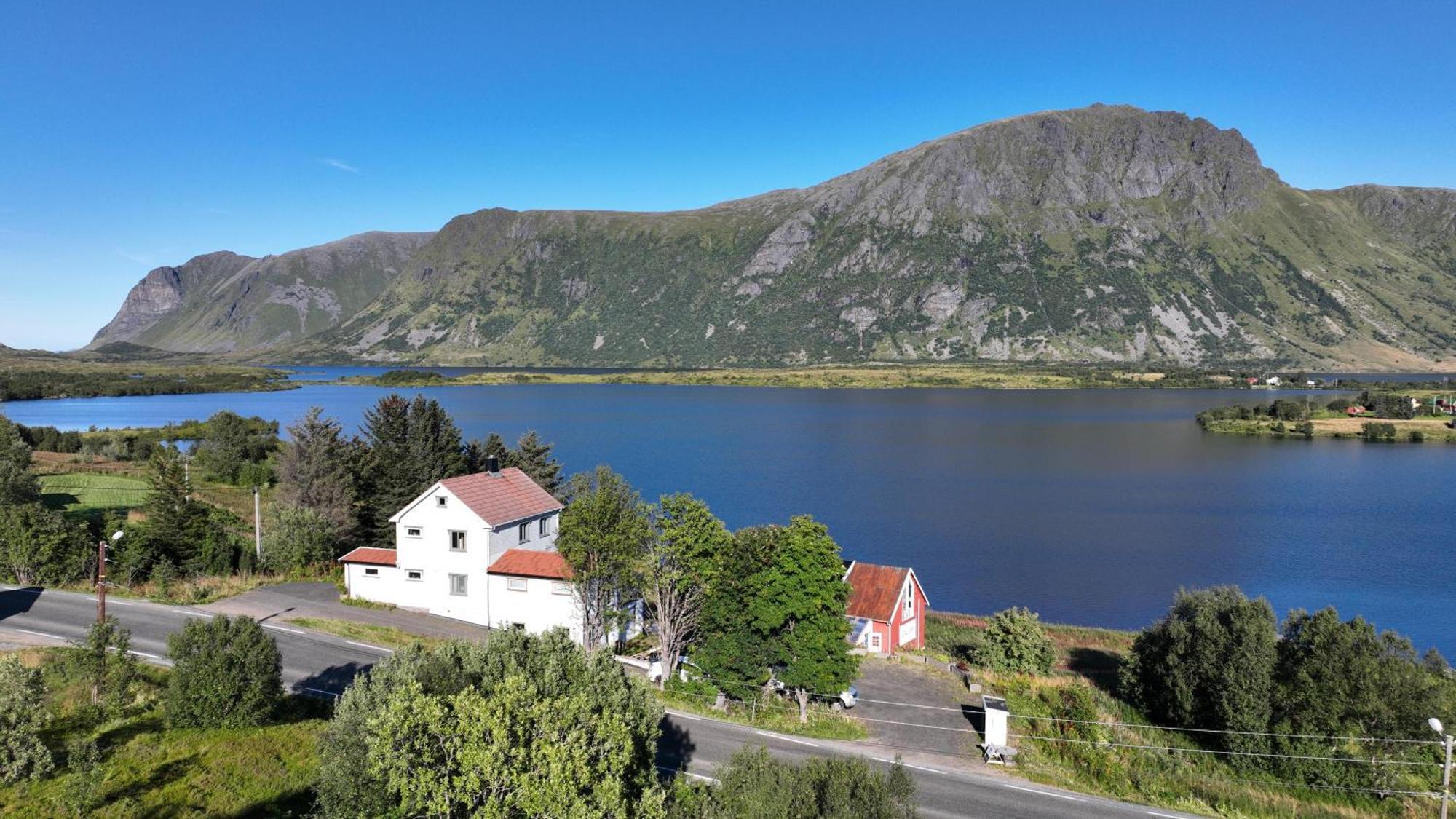 Wildlife Panorama Lofoten Bostad Zewnętrze zdjęcie