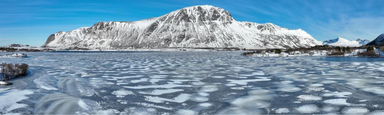 Wildlife Panorama Lofoten Bostad Zewnętrze zdjęcie