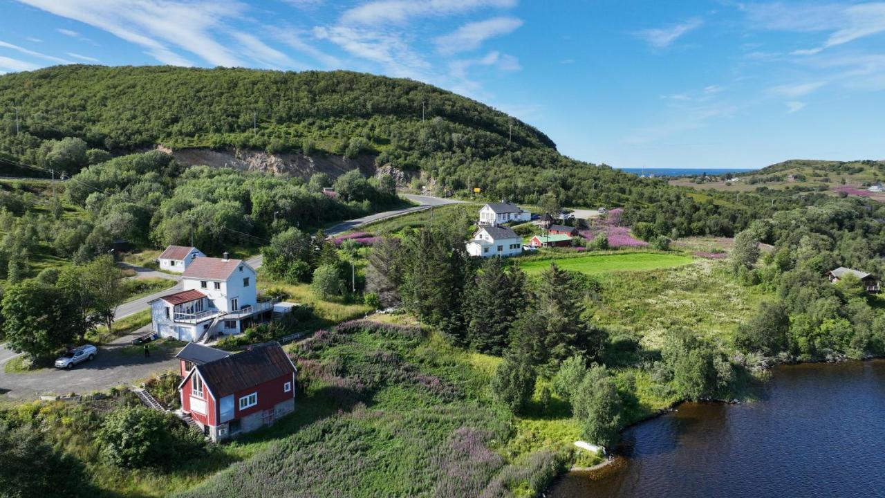 Wildlife Panorama Lofoten Bostad Zewnętrze zdjęcie