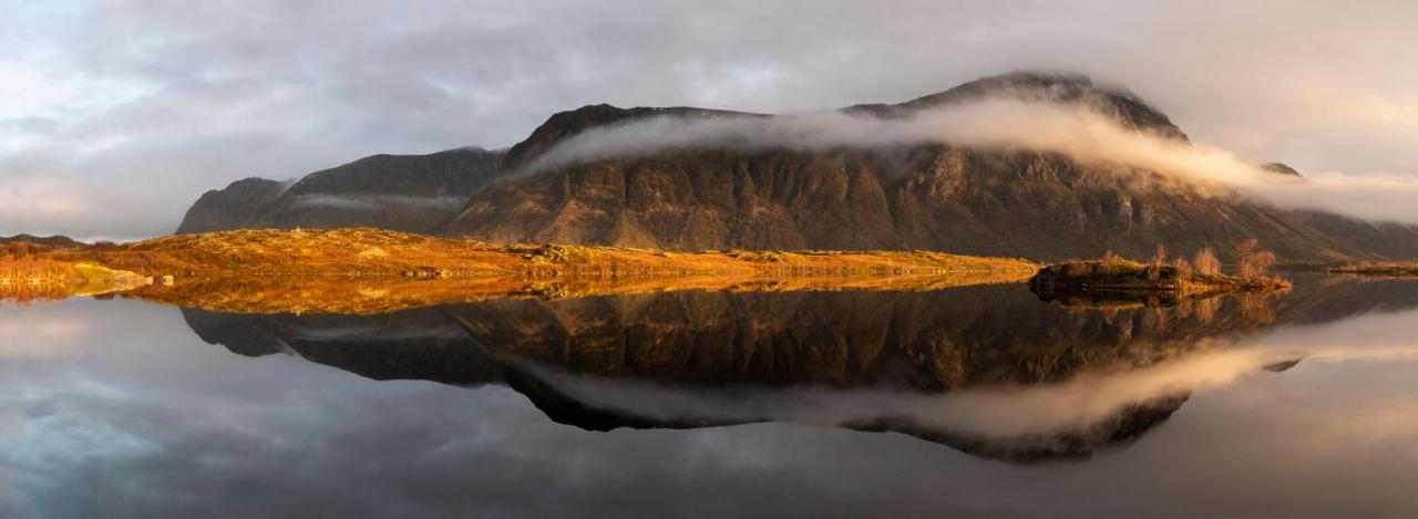 Wildlife Panorama Lofoten Bostad Zewnętrze zdjęcie