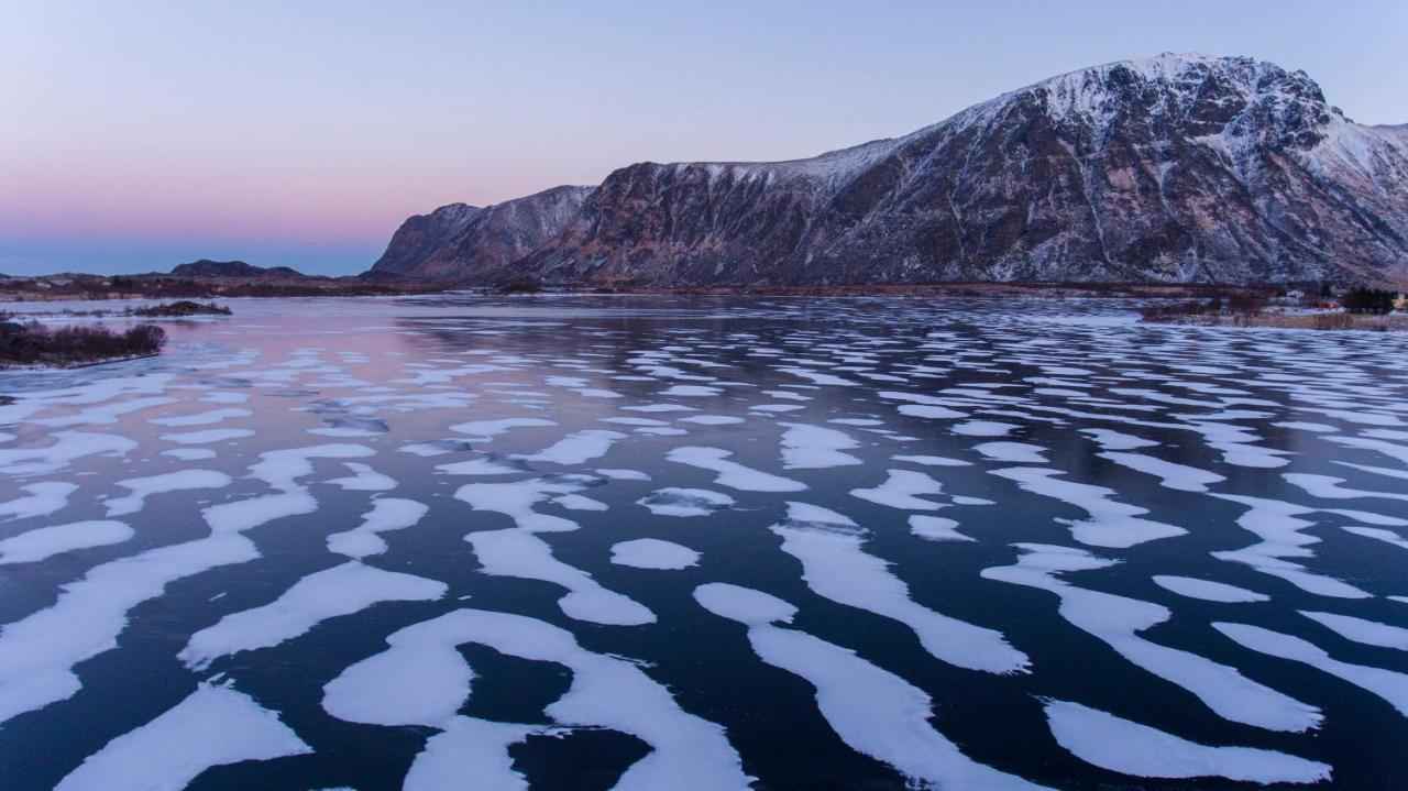 Wildlife Panorama Lofoten Bostad Zewnętrze zdjęcie