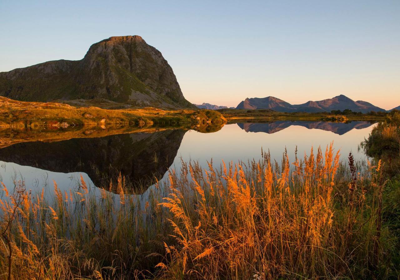 Wildlife Panorama Lofoten Bostad Zewnętrze zdjęcie